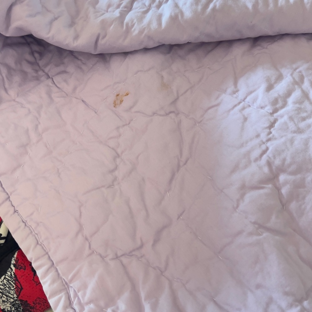 Pottery Barn Kids White and Purple Floral Quilt - Picture 9 of 14